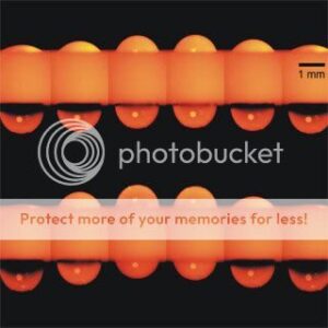 af4b037a-939a-0095-d847b4b9f235f87d-7332673