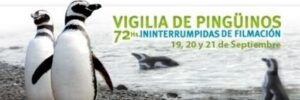 vigilia2008-5071452