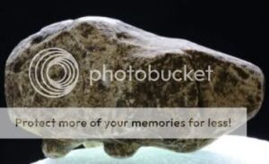 erizo_stonehenge-7682327