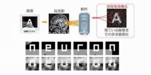 neuron-brain_01-1945439