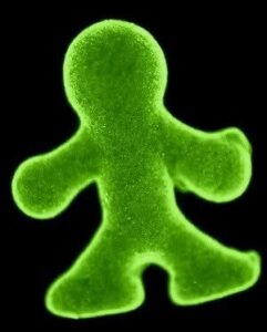 cell_capsule_doll-2543852