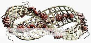 escher_mobius_2-5400474