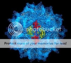 capsida_virica-9092184