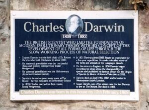 placa_darwin-3504944