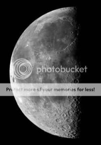 418px-halfmoon-8587377