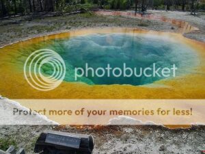 2594014573_83e8ea86dd-1838730