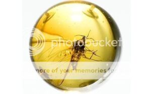 amber-insect2-460_793677c-3432429