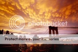 nyc_mammatus_1-4540882