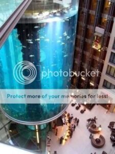 pecera1_small-2962128