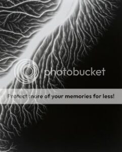 hiroshisugimoto-4570756