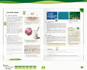 libro_digital-4823802