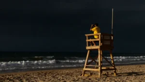 Mare Magnum | El vigilante de la playa