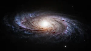 Mare Magnum | NGC-1097, la galaxia con un agujero negro 100 millones de veces mayor que el Sol