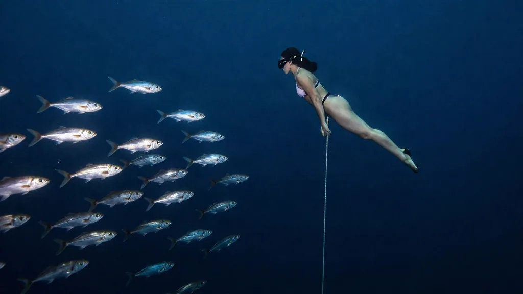 Mare Magnum | Buceo