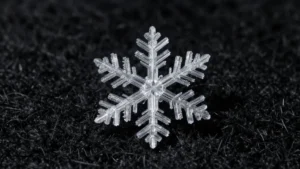 Mare Magnum | Microfotografía de un copo de nieve