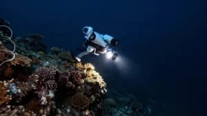 Mare Magnum | La expedición Oceana filma las montañas submarinas del Sahara