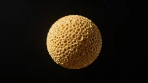 Mare Magnum | Microfotografía