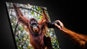 Mare Magnum | Nonja, la orangutana fotógrafa