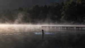 Mare Magnum | El Monstruo del Lago Ness japonés