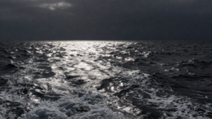 Mare Magnum | Mar