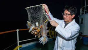 Census If Marine Life