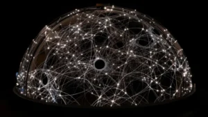 Mare Magnum | Six-Degree Field Galaxy Survey: el mapa más detallado de la galaxia conocida
