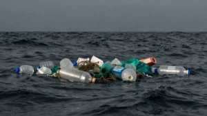 Mare Magnum | Las rutas de la basura marina