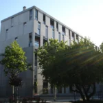 Medidas del decreto de vivienda de Memorias de Tiburón
