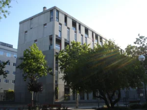 Medidas del decreto de vivienda de Memorias de Tiburón